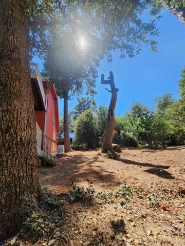Property Clean Up for The Tree Fairy in Temecula, CA