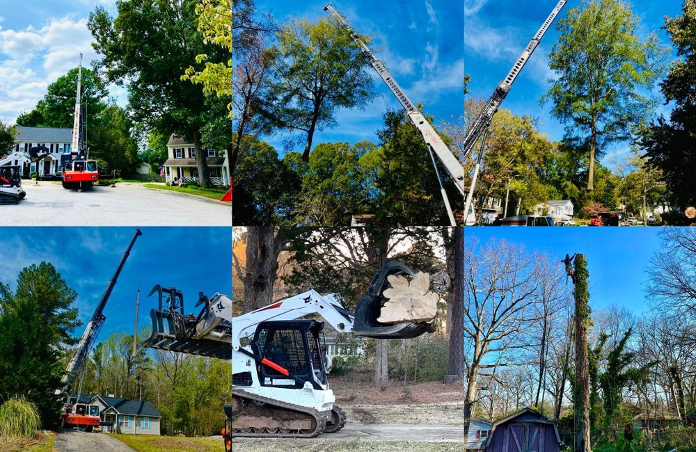 All Photos for Advanced Tree Pros & Landscape in Raleigh, NC