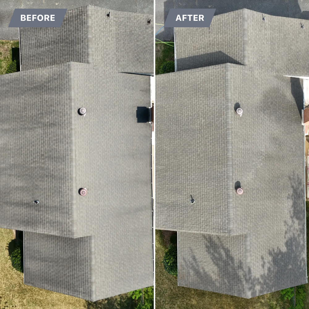 All Photos for LeafTide Solutions in Richmond, VA