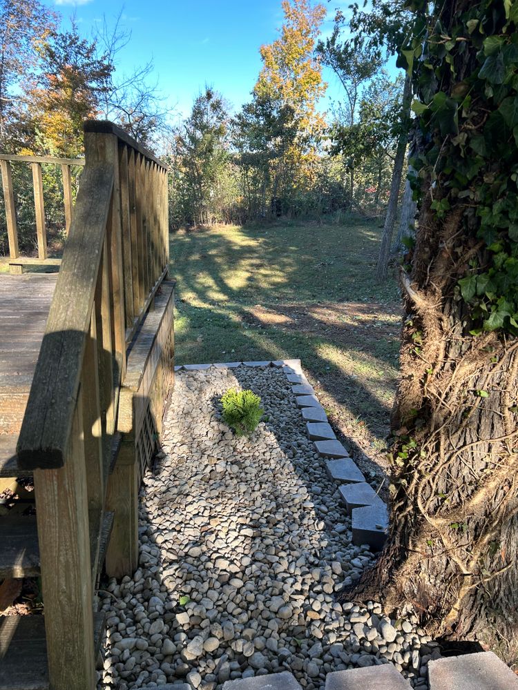 All Photos for Optimum Tree Service And Landscaping in Bowling Green, KY