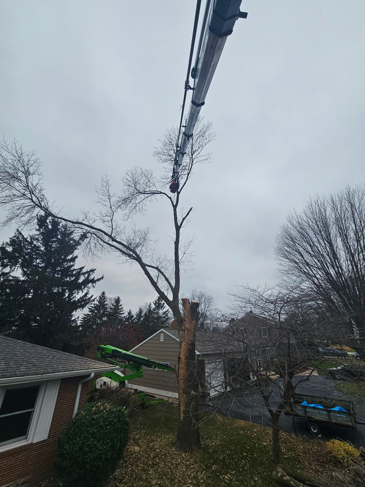 All Photos for Down To Earth Tree Service in Red Wing,  Minnesota