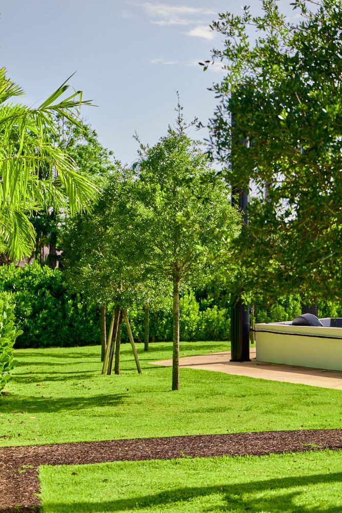 Landscape for Arazoza Brothers Corporation in Miami, FL