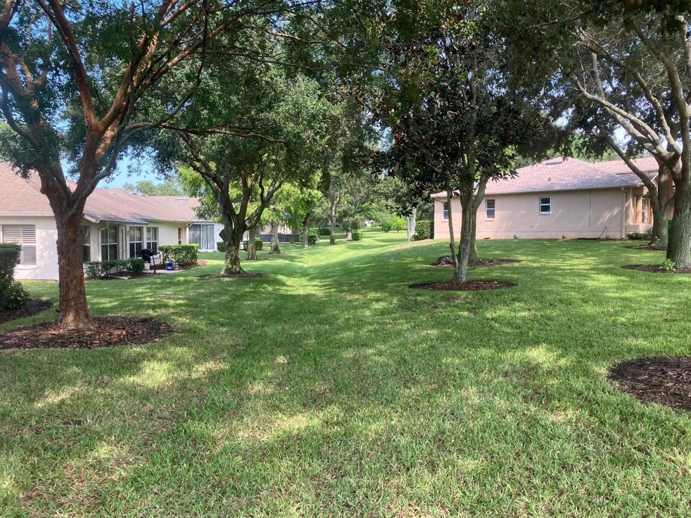 All Photos for Genesis Landscape Services in Spring Hill, FL