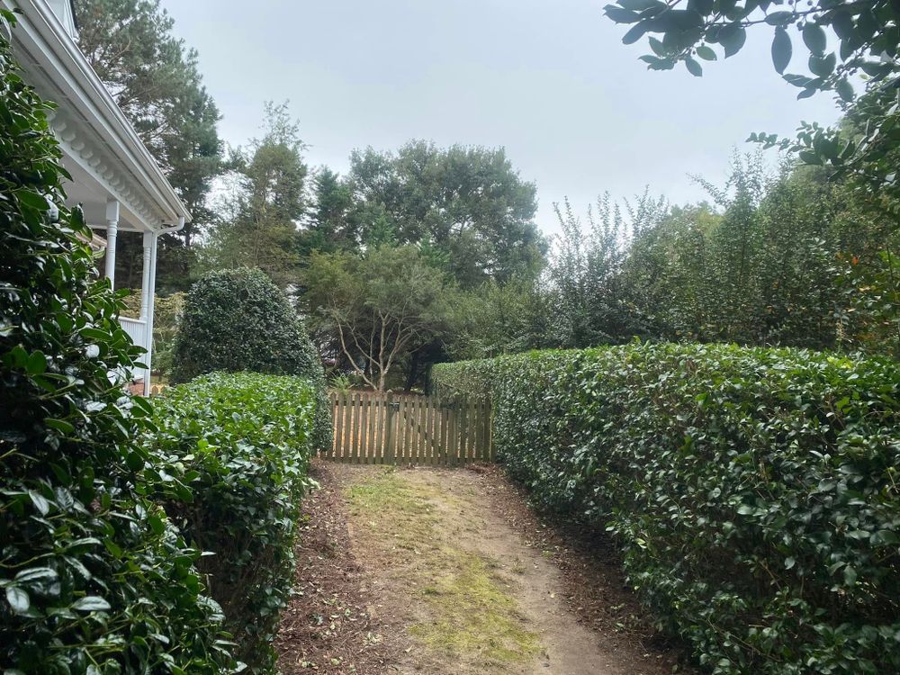 All Photos for Superior Lawn Solution in Coats, NC