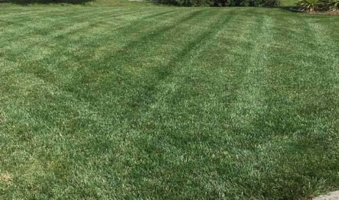 Mowing for LodgeLawn LLC in Chesapeake, VA