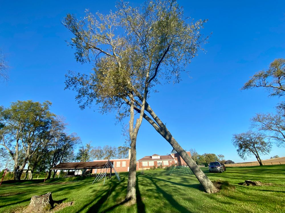 All Photos for Houtz Tree Service in Lexington, KY