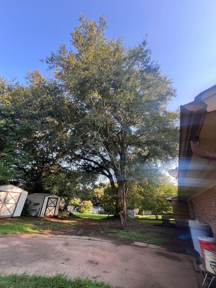 All Photos for Brooks Tree Service in Casar, NC