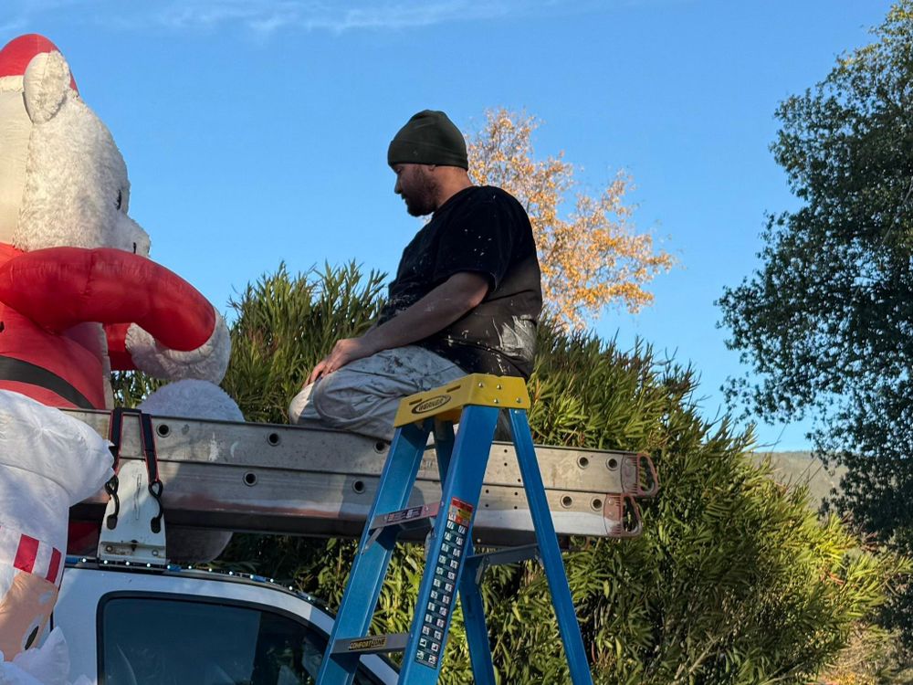 All Photos for Pagan Painting in Kelseyville, CA