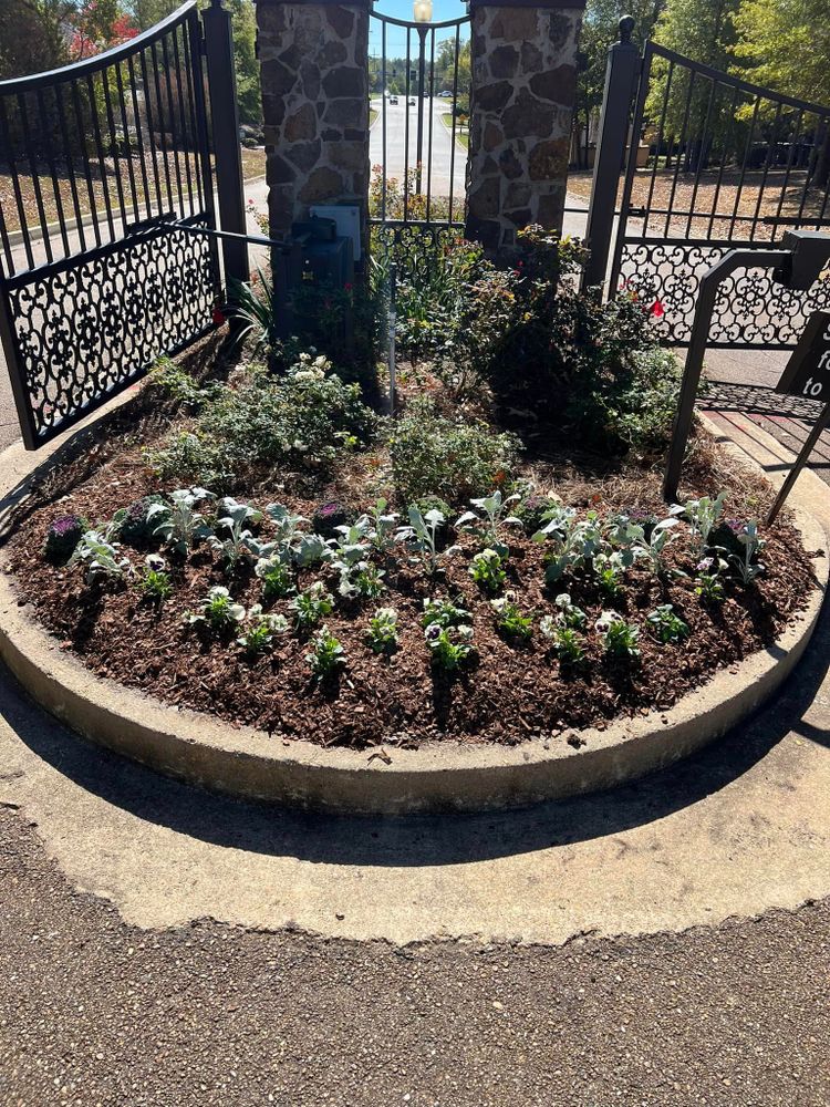 Landscaping for Amis Lawn and Landscape, LLC in Clinton, MS