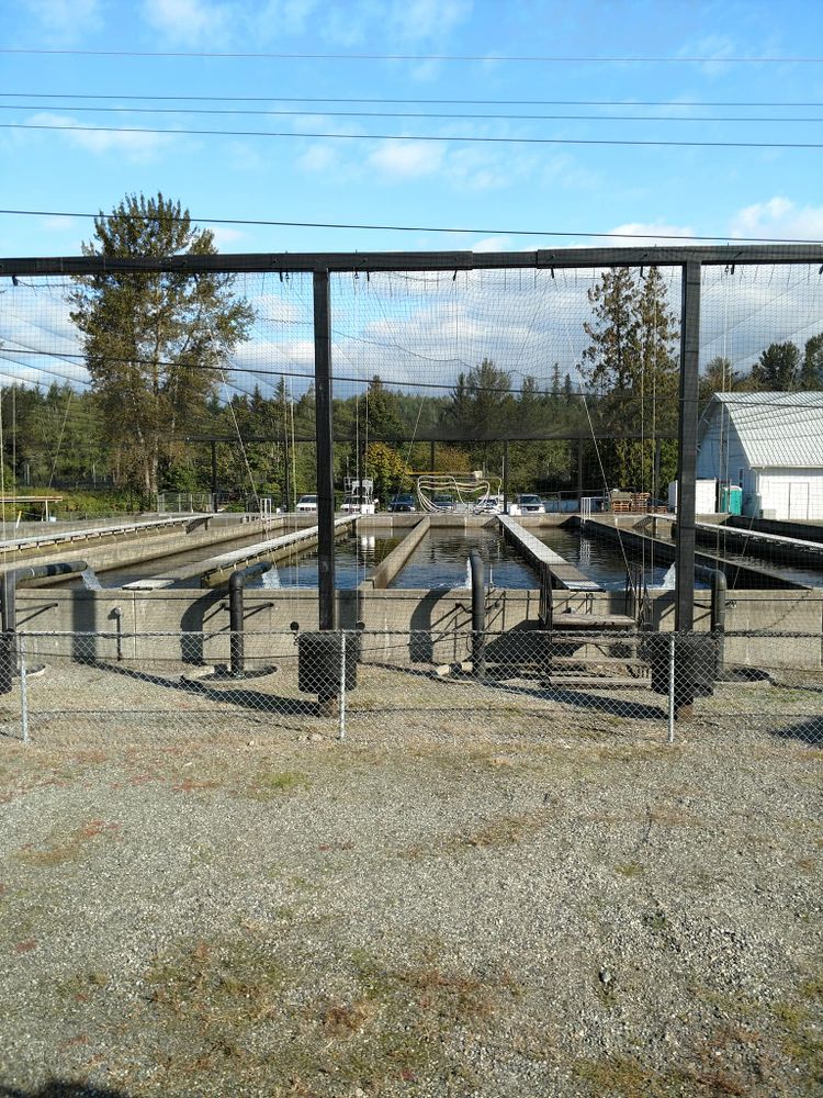 All Photos for Sky Valley Pumper INC in Sultan, WA