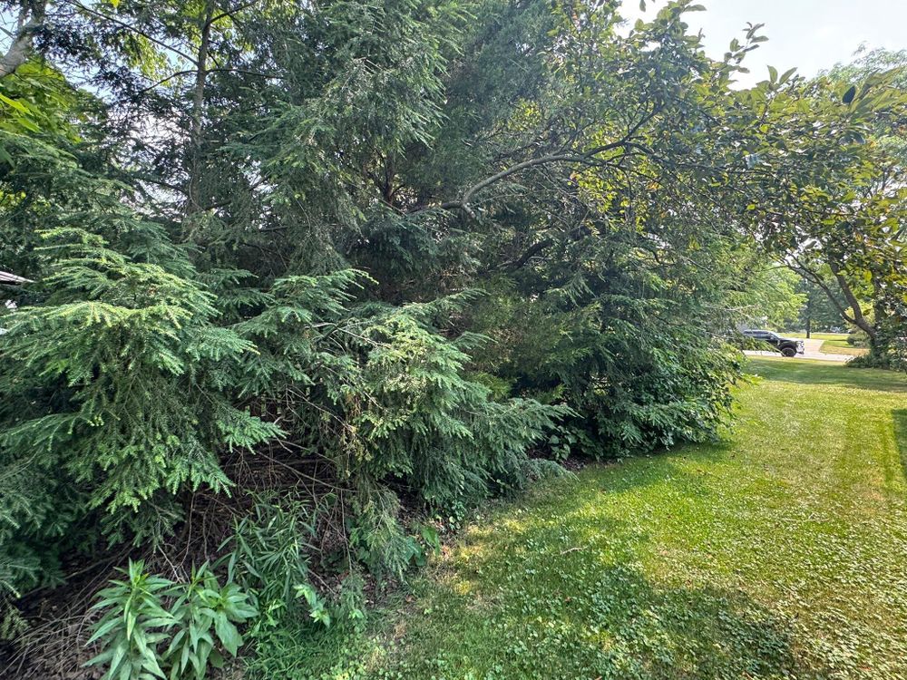 All Photos for Dewhurst Landscaping & Lawncare in Pickerington, OH