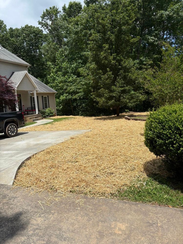 Our Overseeding service revitalizes your lawn by introducing high-quality grass seeds, promoting lush growth and improving overall turf health for a vibrant, resilient landscape year-round. for Taylormade Lawn Management in Clarkesville, GA