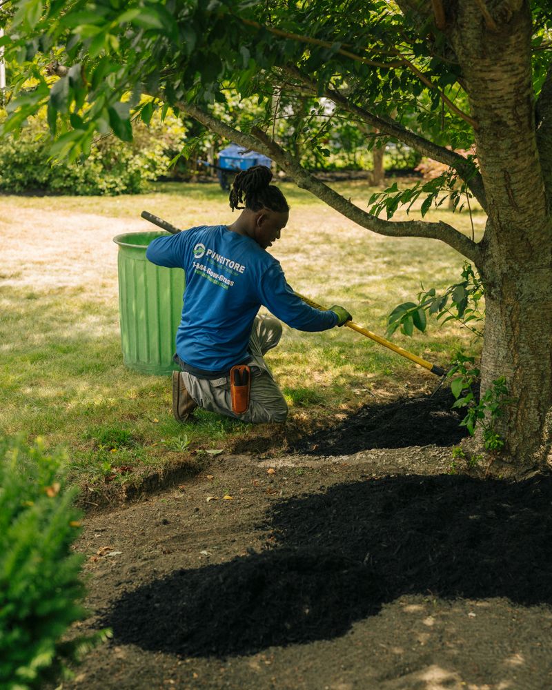 All Photos for Pungitore Landscapes, Irrigation & Fertilizer in Hingham, MA