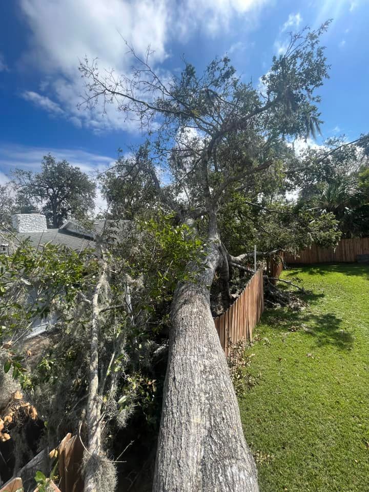 Tree Trimming and Removal for McGraw’s Lawn and Tree Service in DeLand, FL