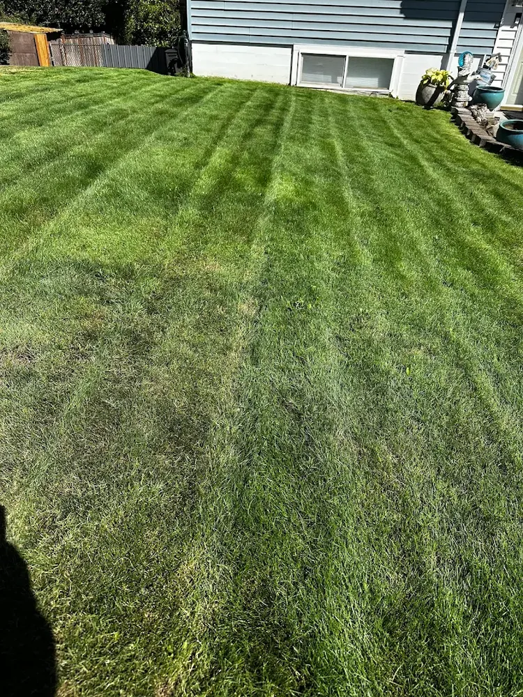 Landscaping for JJG Landscaping LLC in Tacoma, WA