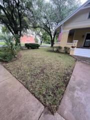 All Photos for Oviedo Land & Garden in Bastrop, TX