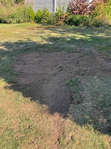 All Photos for Jills Stump Grinding and Firewood in Shelton, CT