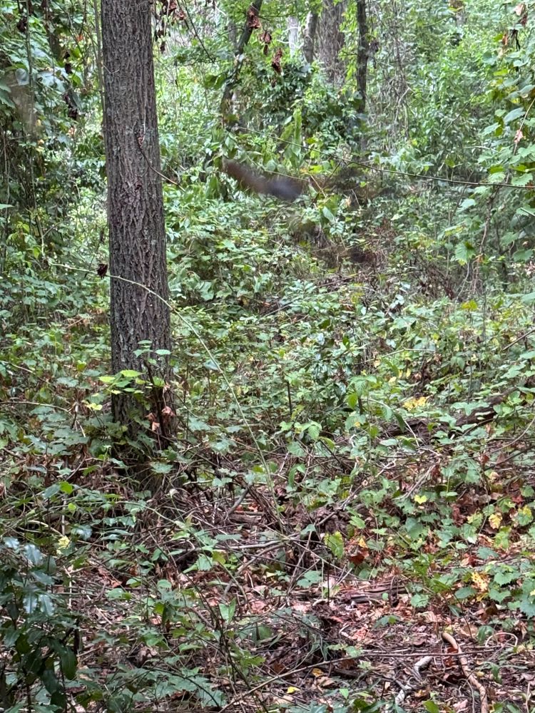 All Photos for Camalett Services in Perry, GA