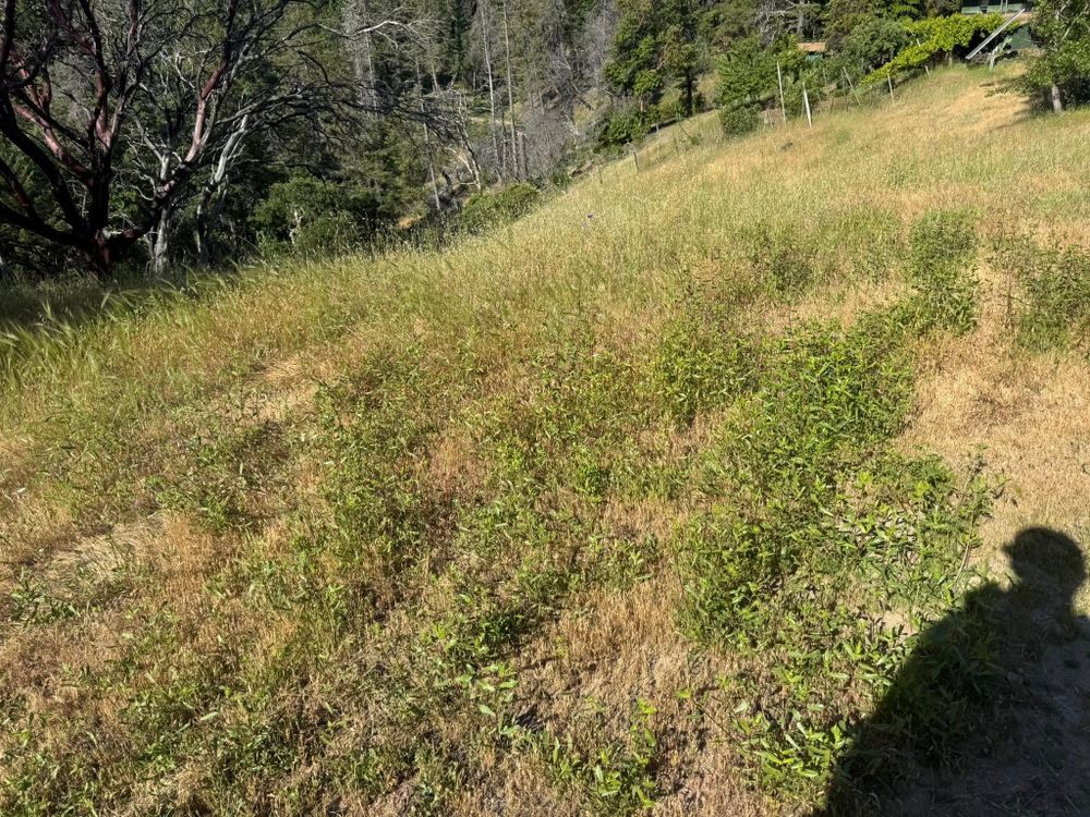 Fire Prevention for Stanisloo’s Landscaping and Services in Potter Valley, CA