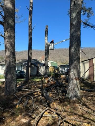 All Photos for Grainger Tree Service in Blaine, TN