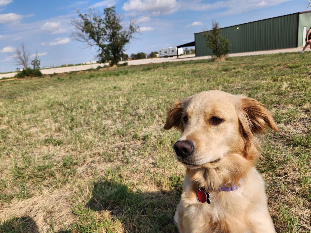 All Photos for Prairie Land Properties LLC in Lubbock, TX