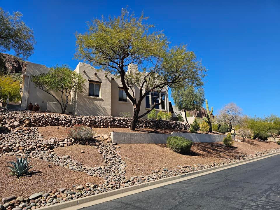 Our expert planting service ensures healthy tree growth by selecting optimal species, preparing soil, and providing proper spacing. Enhance your landscape's beauty and value with professionally planted trees customized to your environment. for T's Tree Service and Firewood in Apache Junction, AZ