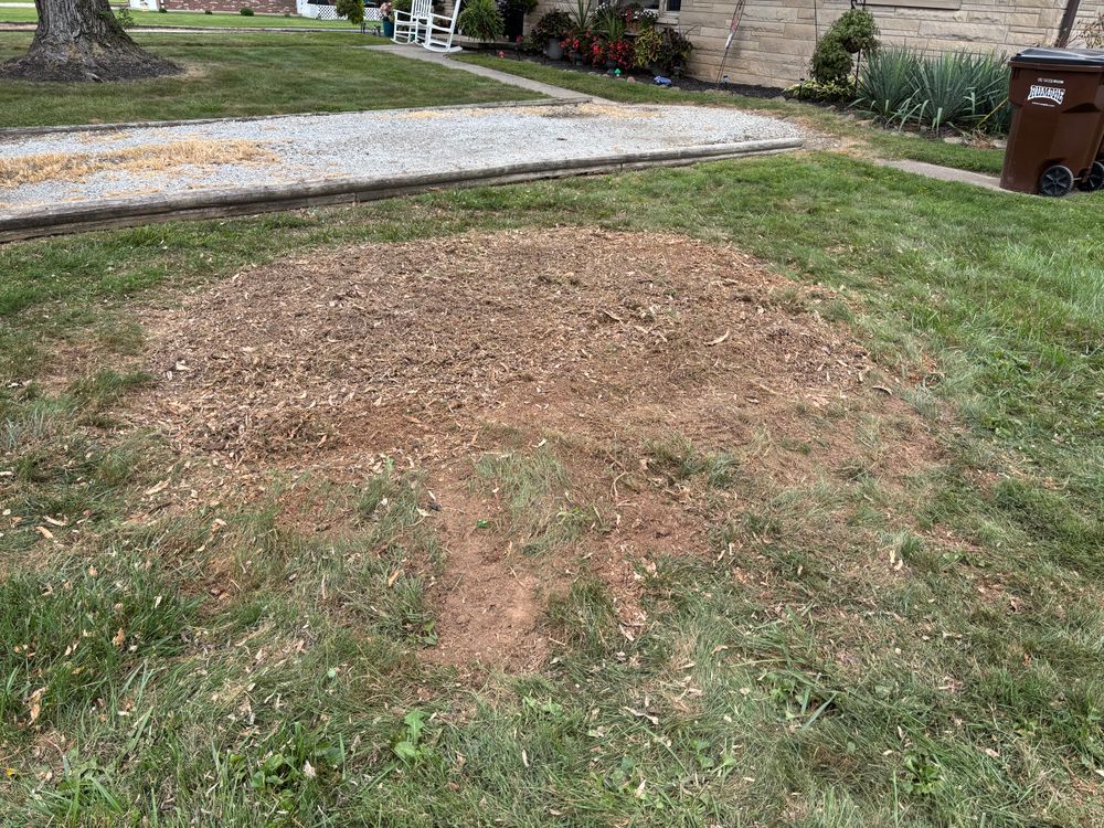 All Photos for Conrad's Stump Removal in Columbus, IN