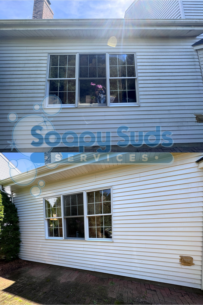 Home Softwash for Soapy Suds Services in St. Charles, IL