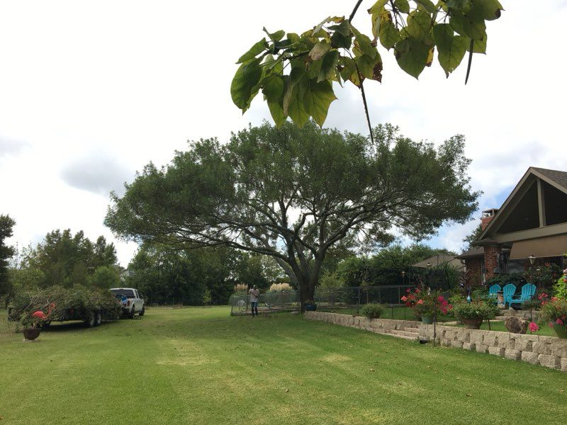 Enhance your property's beauty and sustainability with our professional Tree Planting service, offering expert selection and placement to ensure healthy growth, environmental benefits, and increased curb appeal for your home. for A Realtree Service in Garland, TX