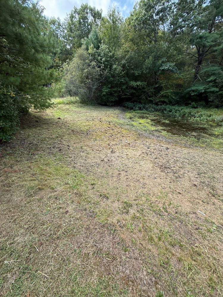 All Photos for Lucas Property Maintenance LLC in New Bedford, MA