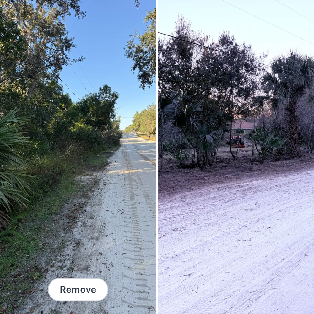 All Photos for Amerigrown Tree And Lawn in Apopka, FL