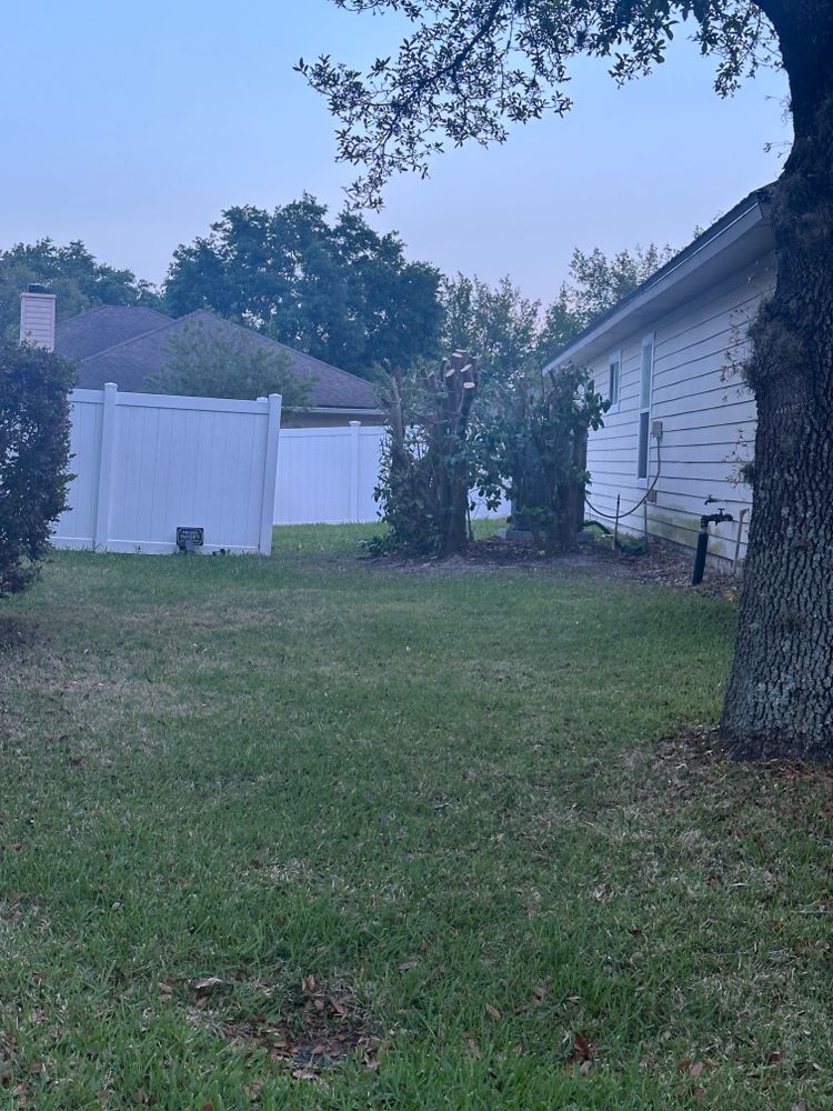 All Photos for All of the Above Landscaping in Orange Park, FL