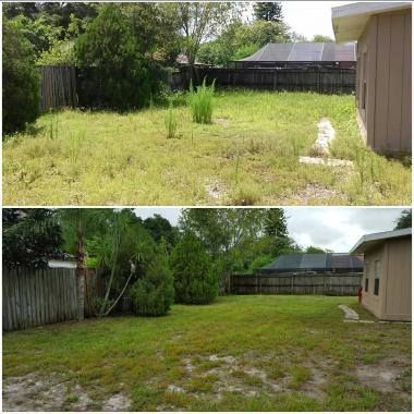 Landscaping for 1 Friendly Lawn Service in Tampa, FL