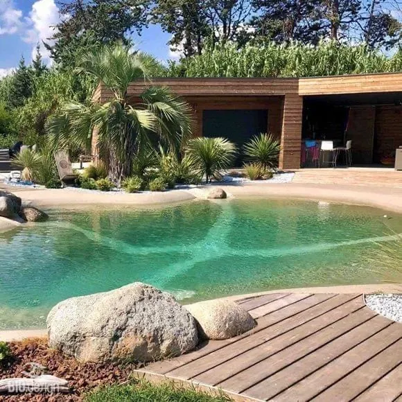 Lagoon Pools for Just Great Pools in Lakeway, TX