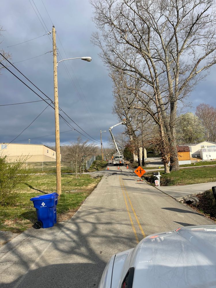 All Photos for Lucky’s Tree Removal and Landscape Services in Knoxville, TN