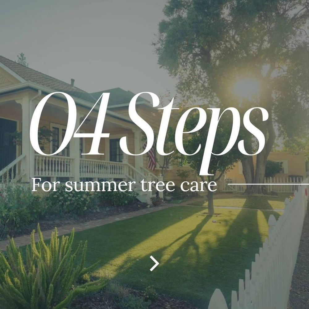 All Photos for Oakwood Tree Removal LLC in Oak Creek,  WI