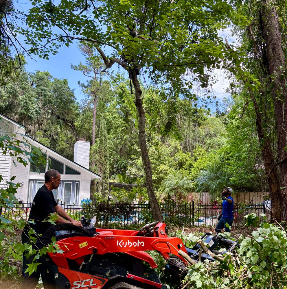 All Photos for Top Notch Tree Experts in Orange Park, FL