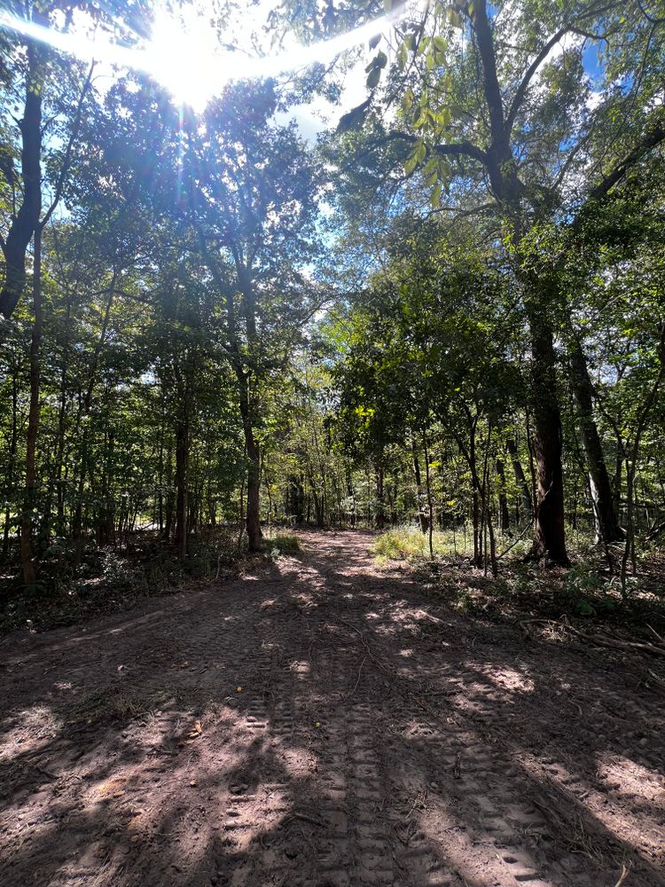 All Photos for Michael Way Acres in Woodlawn, TN