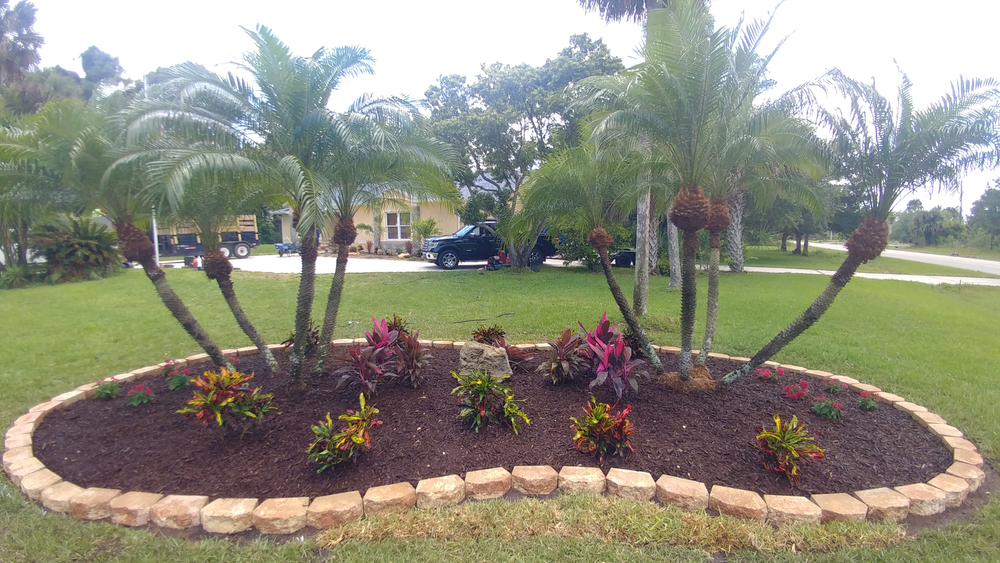 All Photos for Epic Vine Design in Melbourne, FL