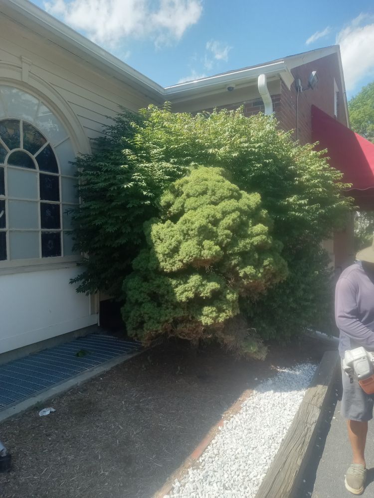 All Photos for K Brown's Property Maintenance in Pittsfield, MA