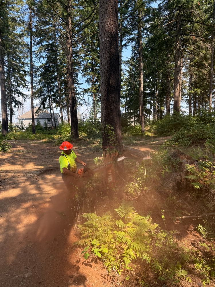 All Photos for DCX LLC in Gresham, OR