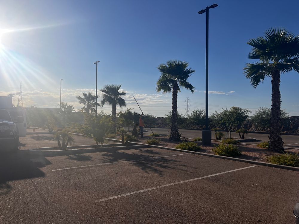 Commercial Gravel Installation for AZ Tree & Hardscape Co in Surprise, AZ