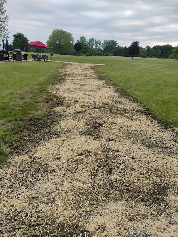 All Photos for Lighthouse Lawn Care and Irrigation in Marysville, MI