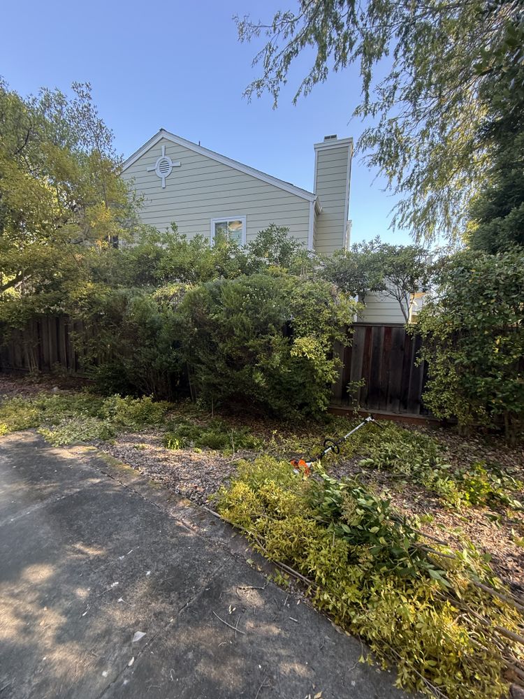 All Photos for CBA Landscaping in Hayward, CA