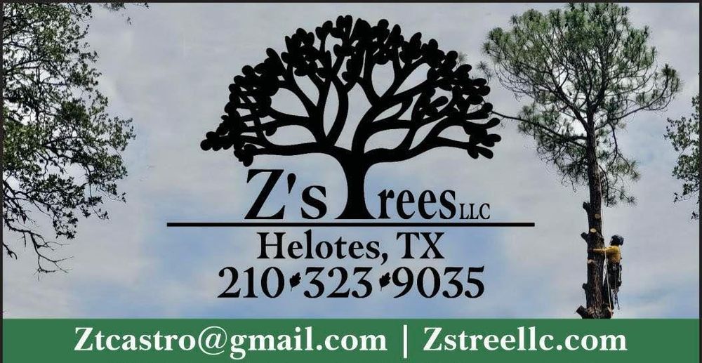 All Photos for Z’s Trees LLC in Grey Forest, TX