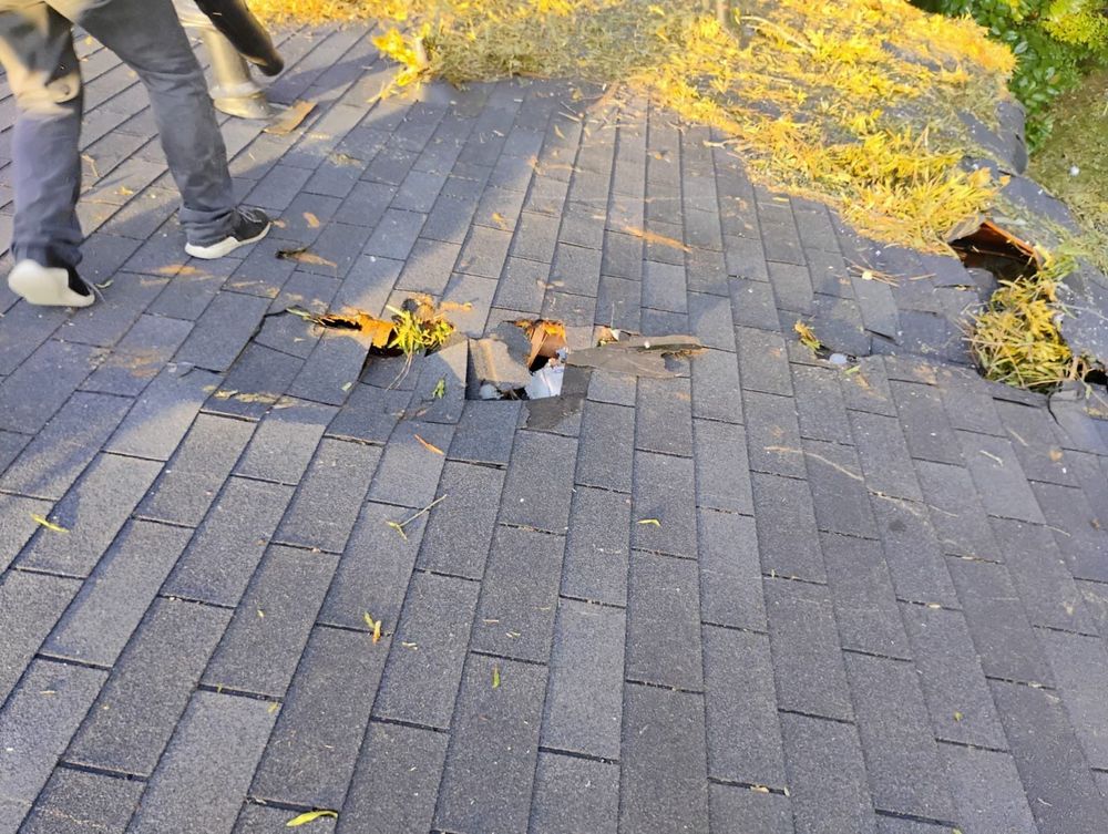 All Photos for Bulldawg Disaster Response in Atlanta, GA