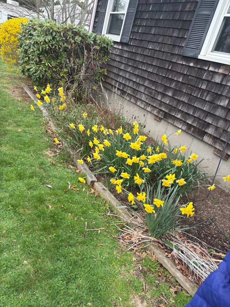 All Photos for Kingston Lawn Care in Providence, RI