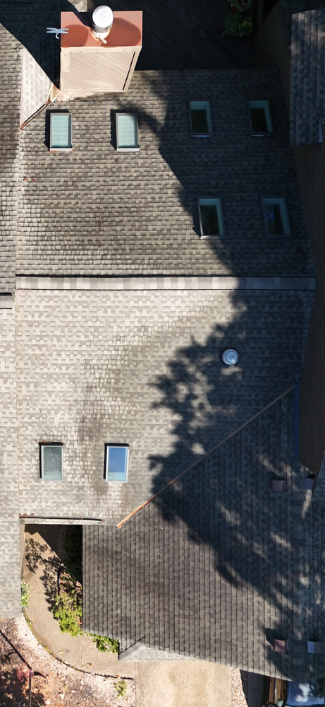 All Photos for LeafTide Solutions in Richmond, VA