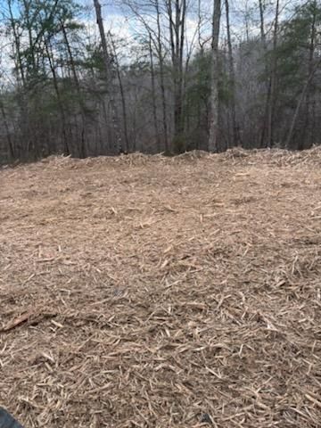 Our Land Clearing service transforms overgrown areas into pristine landscapes, ensuring your property is ready for efficient lawn care maintenance and enhancing the beauty and safety of your home environment. for D&J Land Works in Hurricane Mills, TN