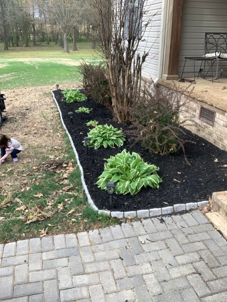 All Photos for Apex Lawn & Landscaping INC in Dyersburg, TN